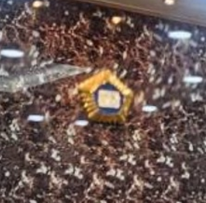 주물 엠블럼 견적 문의